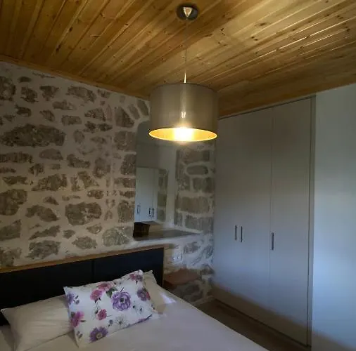 Daire Six Blossoms !